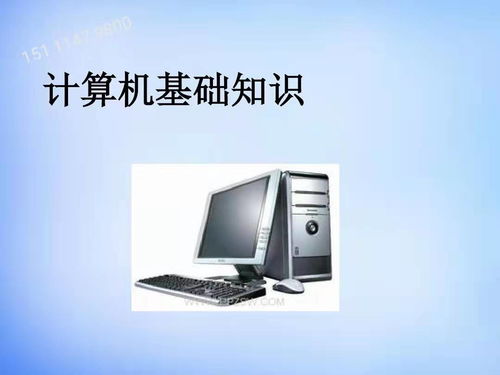 計算機大專生的多元發(fā)展路徑 機遇與挑戰(zhàn)并存
